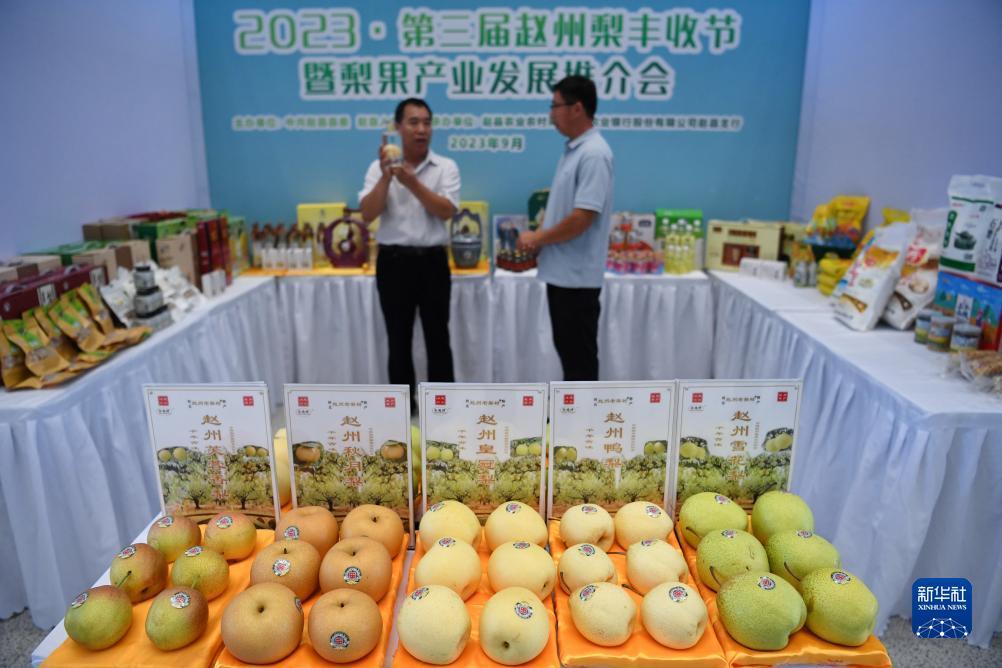 威尼斯网游